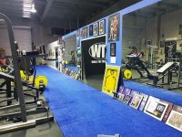 body-by-leon-gym-sunshine-coast-6