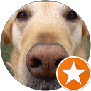 braddo 1972 profile picture